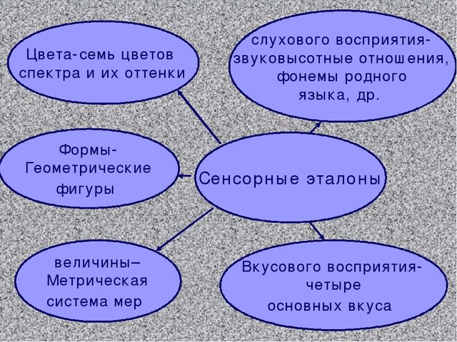 Презентация на тему "Сенсорное развитие"