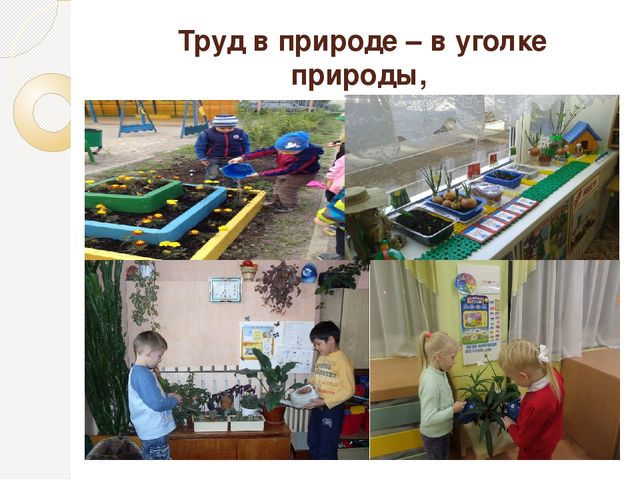 Презентация «Формирование позитивной установки в различных видах трудовой деятельности ребенка»