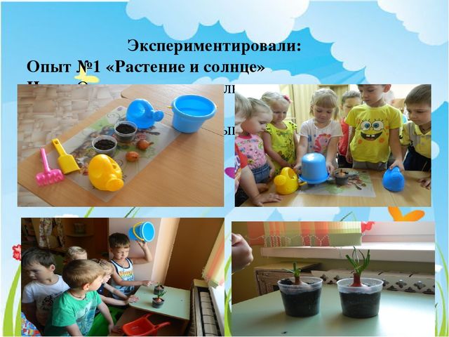 Презентация Экологический проект "Солнышко лучистое"