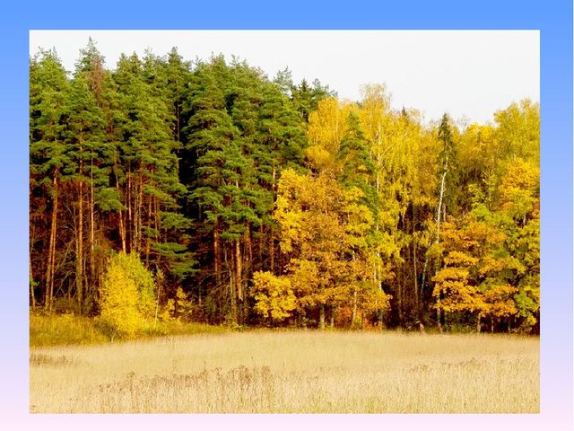 Репродукции картин для рассматривания