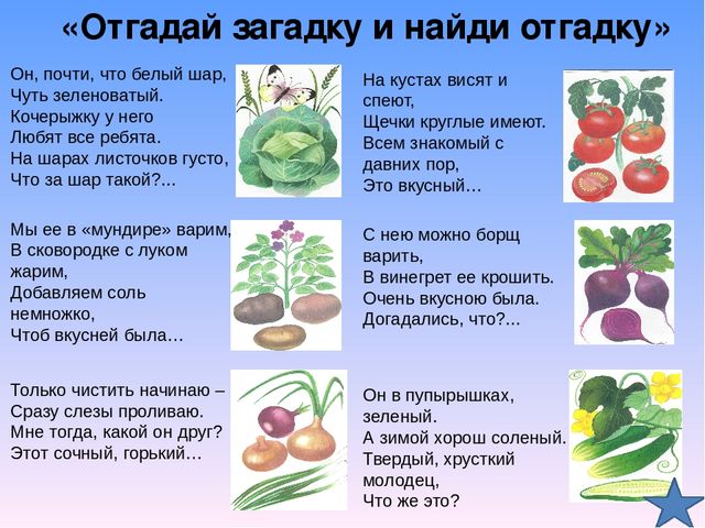 Презентация игр по окружающему миру для дошкольников