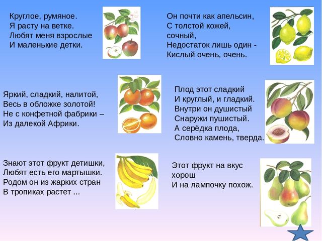 Презентация игр по окружающему миру для дошкольников
