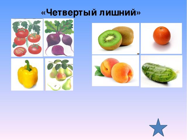 Презентация игр по окружающему миру для дошкольников