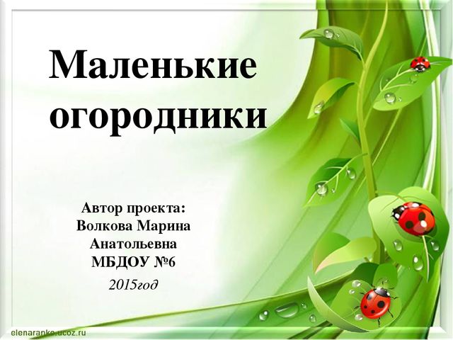 Проектная деятельность в старшей группе "Маленькие огородники"