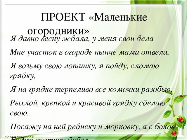 Проектная деятельность в старшей группе "Маленькие огородники"