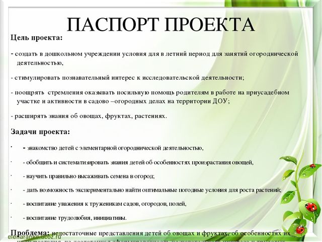 Проектная деятельность в старшей группе "Маленькие огородники"