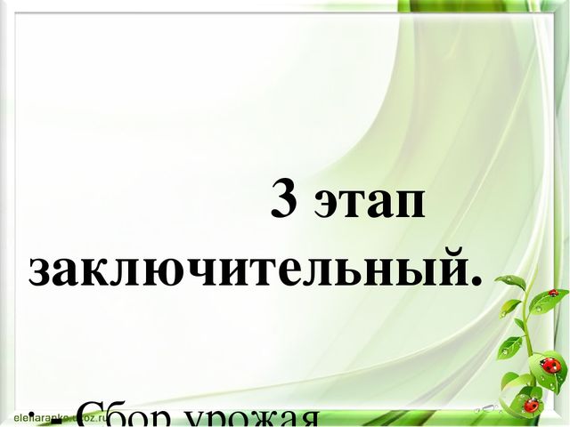 Проектная деятельность в старшей группе "Маленькие огородники"
