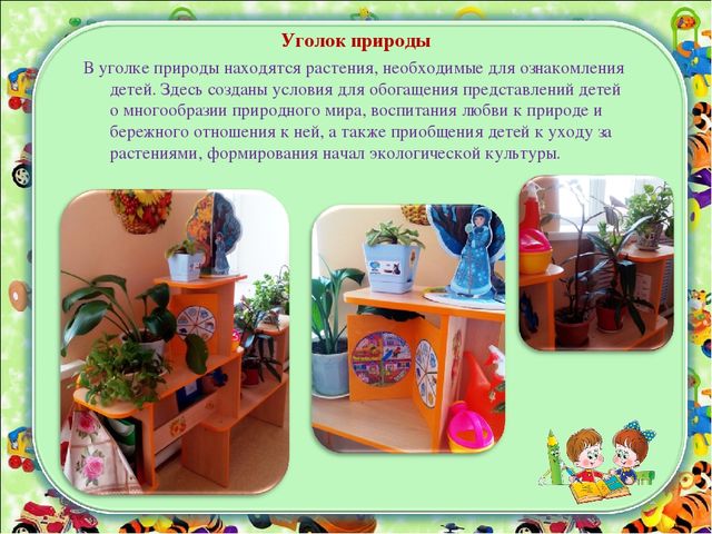Предметно-пространственная среда в средней группе