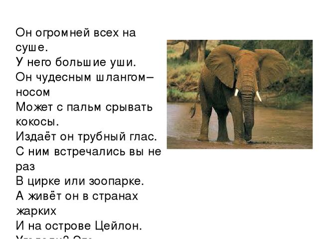 Занятие по предшкольной подготовке . Буква с. Букварь Н.С. Жуковой