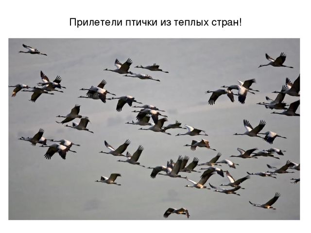Презентация на тему "Весеннее настроение"