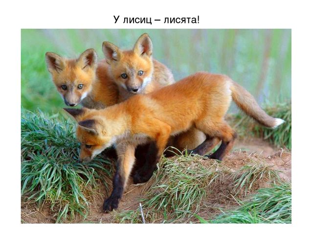Презентация на тему "Весеннее настроение"