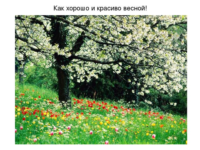 Презентация на тему "Весеннее настроение"
