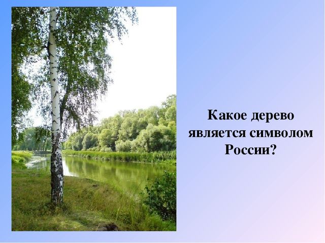 Презентация на тему "Наша Родина-Россия".