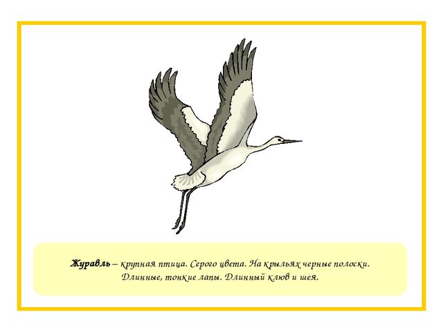 Презентация на тему "Птичьи голоса"