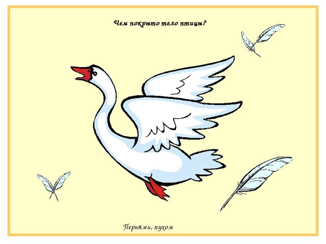 Презентация на тему "Птичьи голоса"