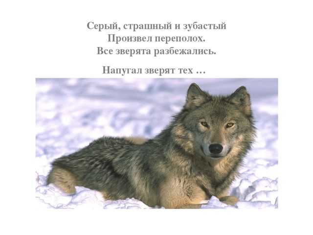Презентация по развитию речи на тему "Дикие животные"
