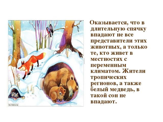 Презентация по развитию речи на тему "Дикие животные"