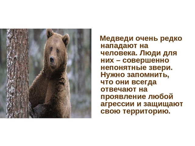 Презентация по развитию речи на тему "Дикие животные"
