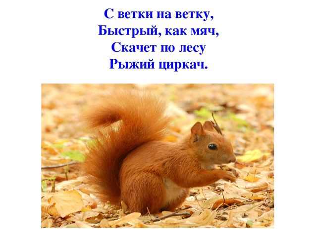 Презентация по развитию речи на тему "Дикие животные"