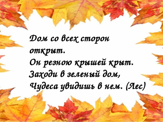 Презентация " Путешествие в мордовский лес осенью" приложение к конспекту.