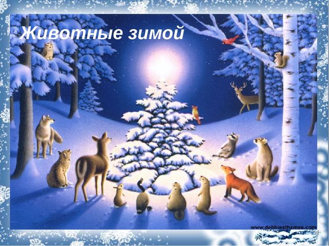 Презентация "Зимушка-зима" (средняя группа)
