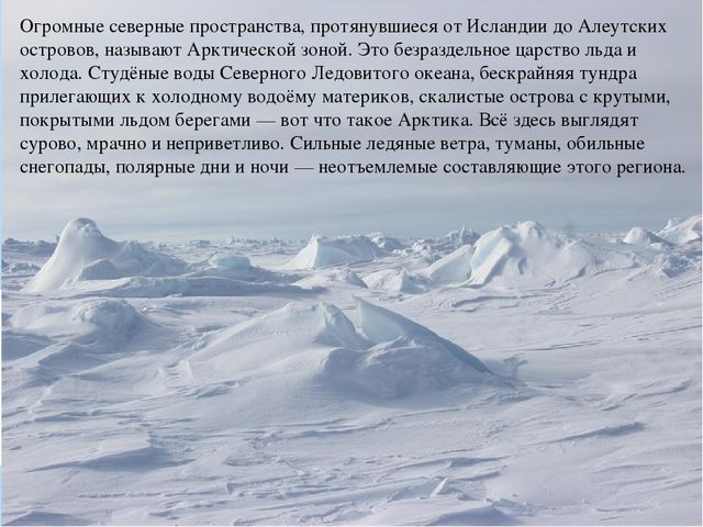 Презентация по дошкольному образованию "Животные Арктики"