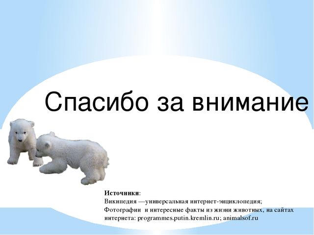 Презентация по дошкольному образованию "Животные Арктики"