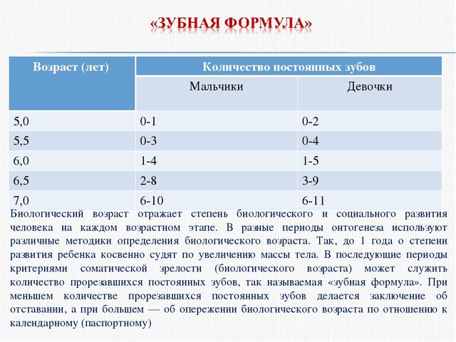 Основы проведения мониторинга физического развития и состояния здоровья дошкольника