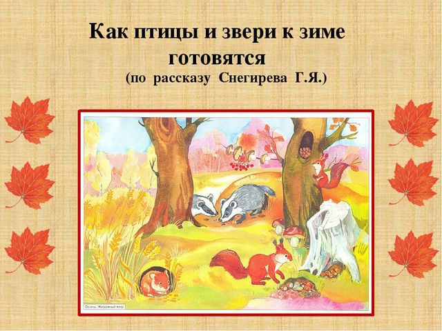 Презентация "Как звери готовятся к зиме"