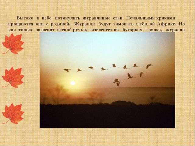 Презентация "Как звери готовятся к зиме"