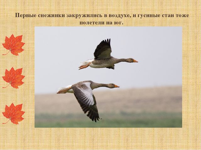 Презентация "Как звери готовятся к зиме"