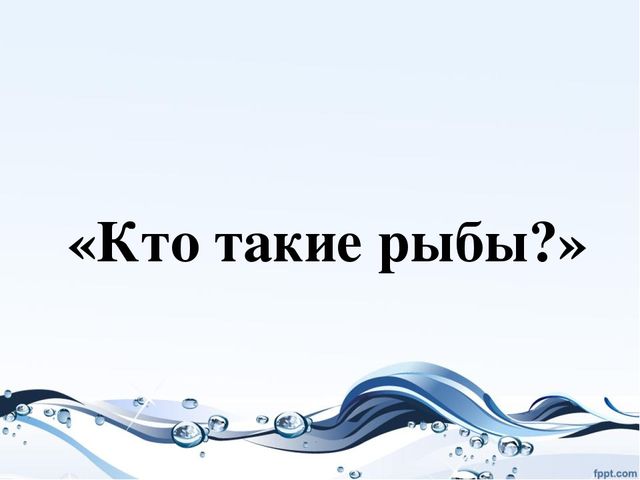 Презентация на тему "Рыбы"