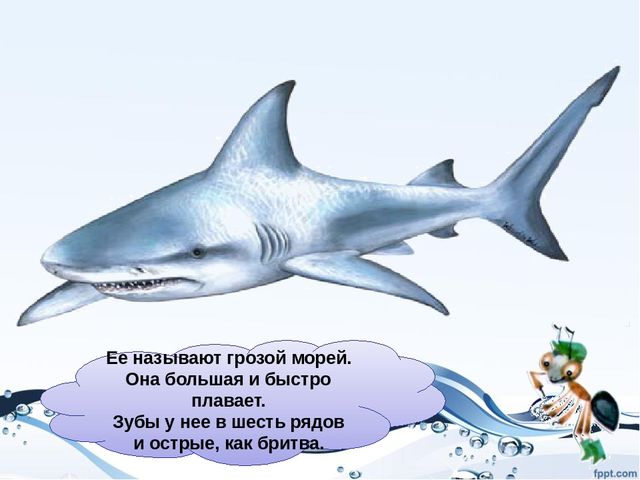 Презентация на тему "Рыбы"