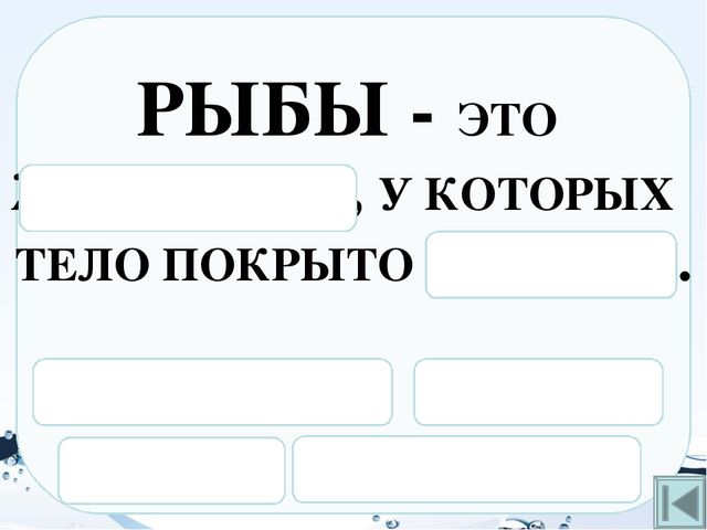 Презентация на тему "Рыбы"