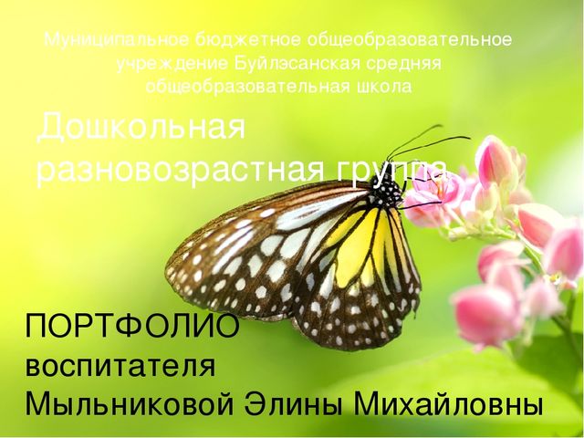 Портфолио воспитателя дошкольной группы