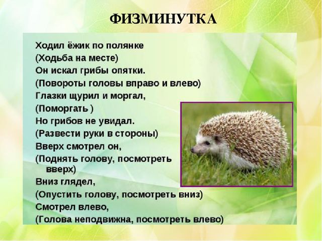 Презентация к НОД по ОО «Художественно-эстетическое развитие» Рисование «Грибной ёжик» подготовительная к школе группа