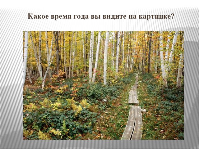 Презентация к НОД "Осень золотая"
