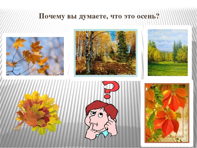 Презентация к НОД "Осень золотая"