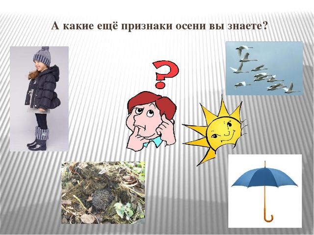 Презентация к НОД "Осень золотая"