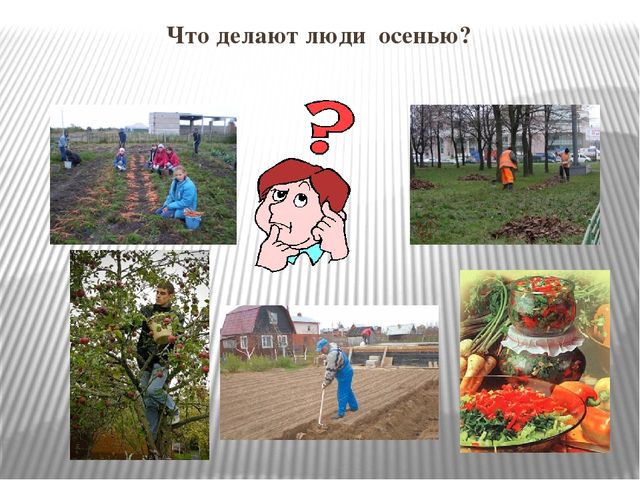 Презентация к НОД "Осень золотая"