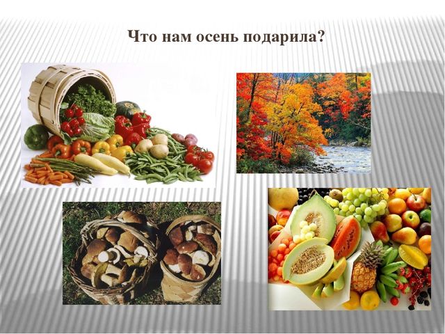 Презентация к НОД "Осень золотая"