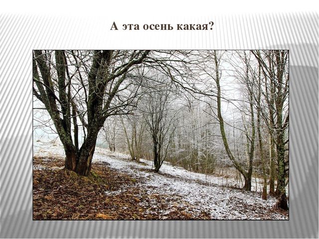 Презентация к НОД "Осень золотая"
