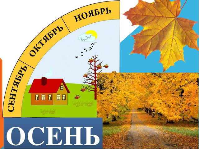 Презентация для ДОУ "Осень"