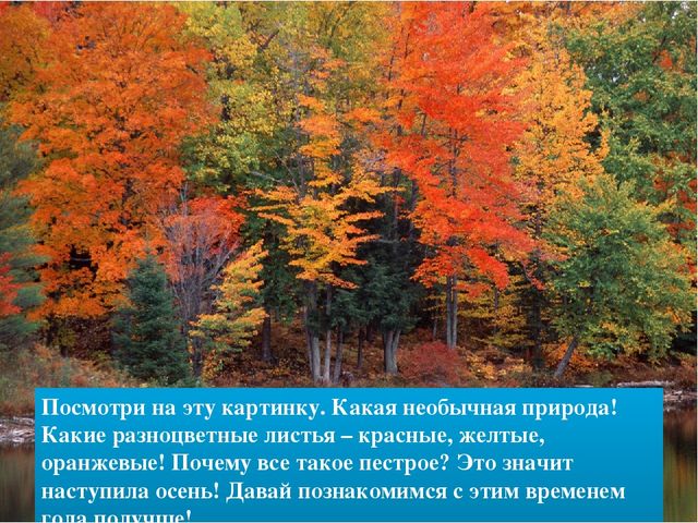 Презентация для ДОУ "Осень"