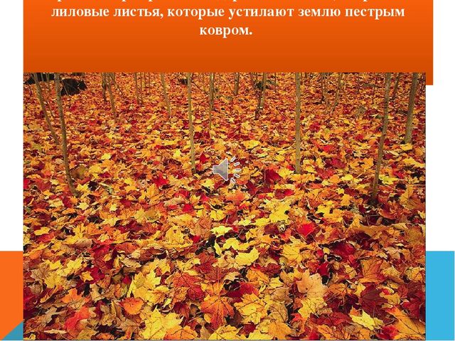 Презентация для ДОУ "Осень"