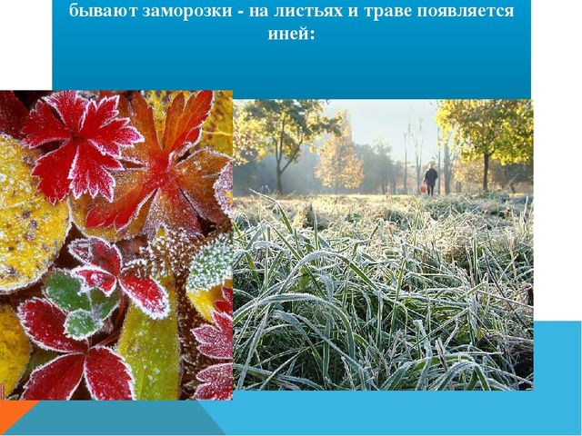 Презентация для ДОУ "Осень"