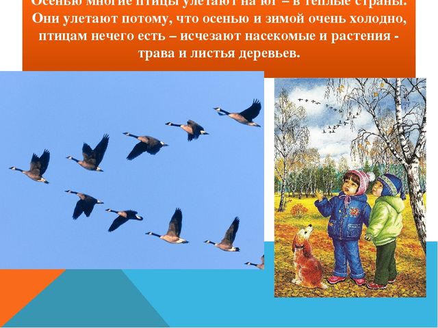 Презентация для ДОУ "Осень"