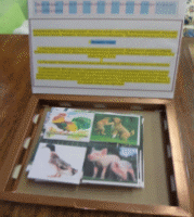 Picture 12