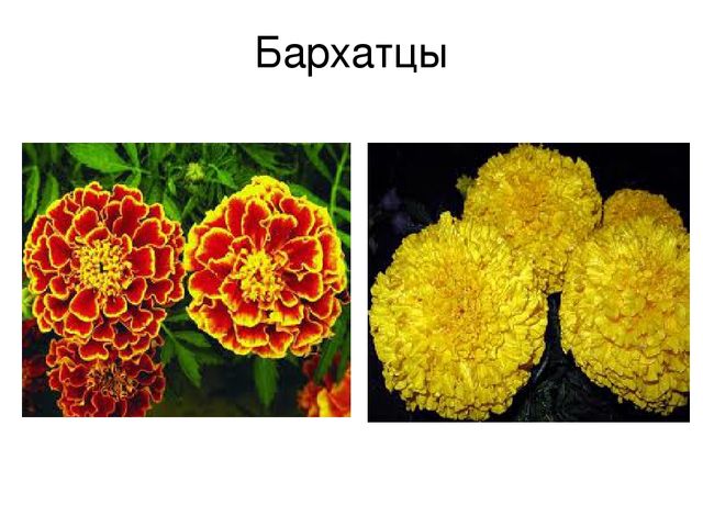 Презентация на тему "Ручной труд"
