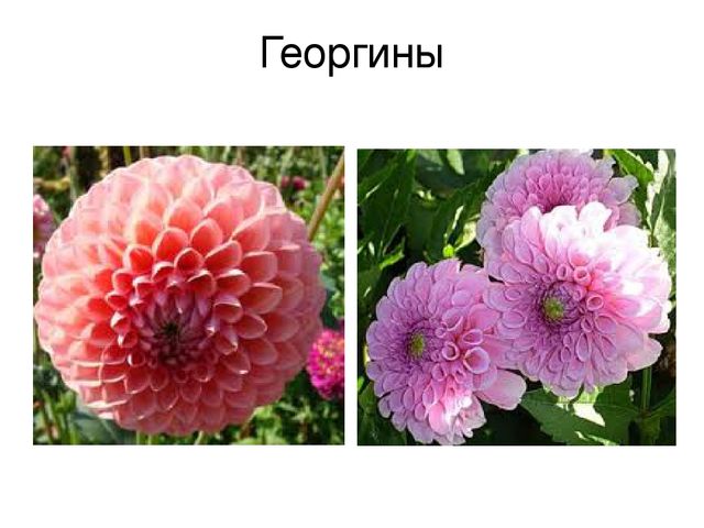 Презентация на тему "Ручной труд"